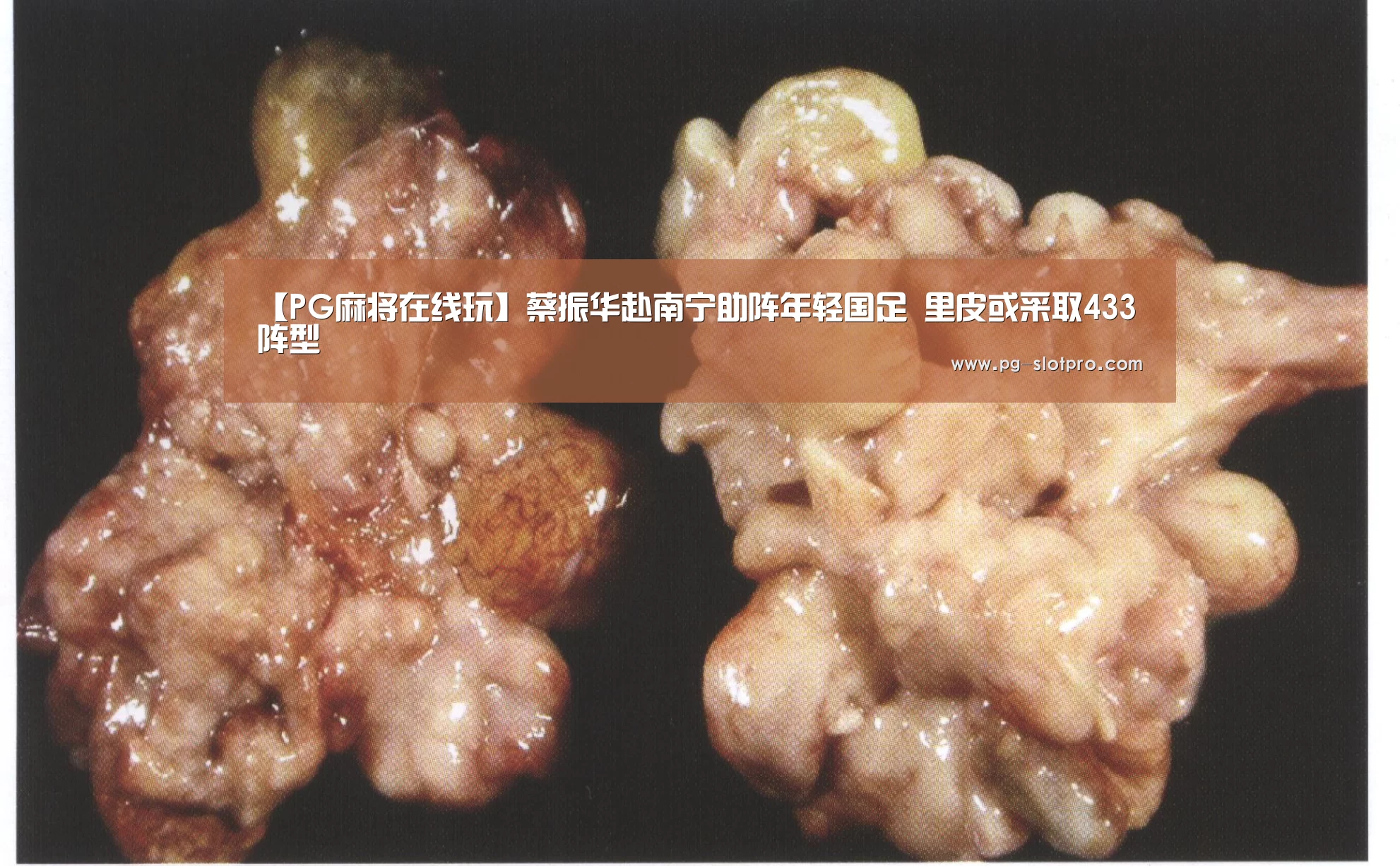 【PG麻将在线玩】蔡振华赴南宁助阵年轻国足 里皮或采取433阵型(图3) PG麻将在线玩